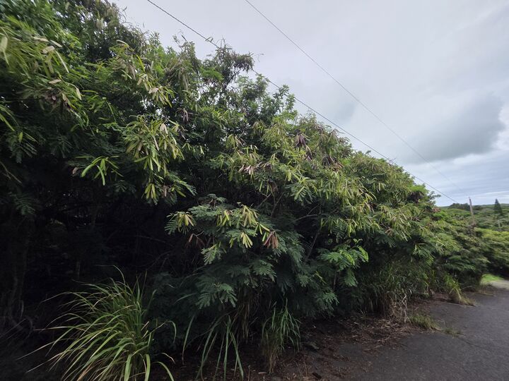 Property Photo:  Mauka St  HI 96772 