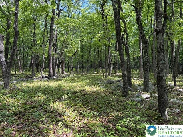 Property Photo:  Lot 250-Maple Lane  PA 18229 