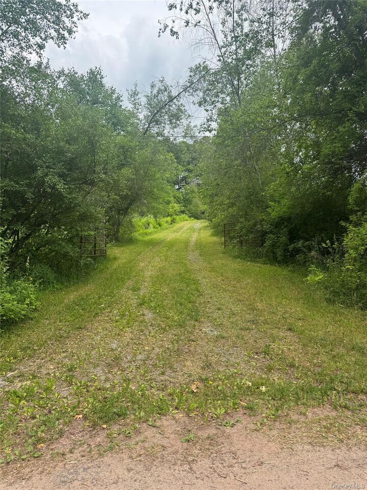 Property Photo:  742 Lenape Lake Road  NY 12758 