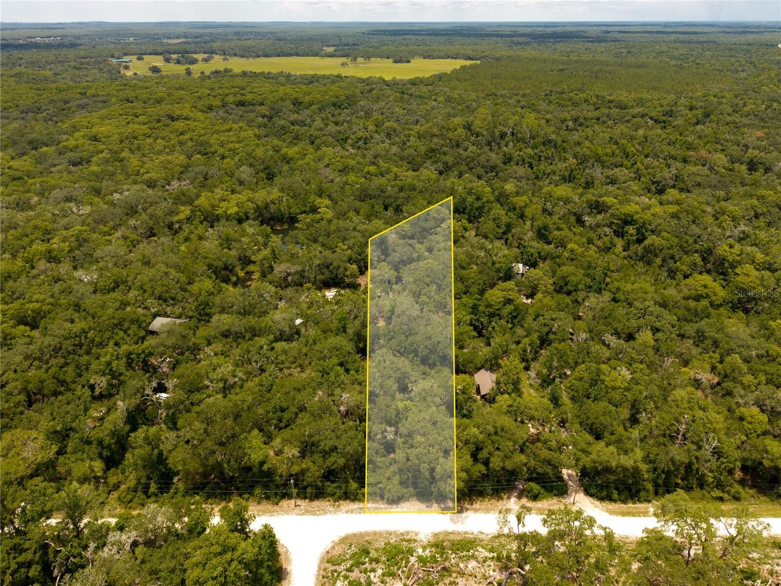 Property Photo:  7337 Riverview Drive  FL 33597 