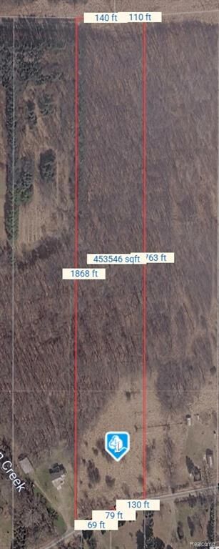Property Photo: V1 Murray Road MI 48819