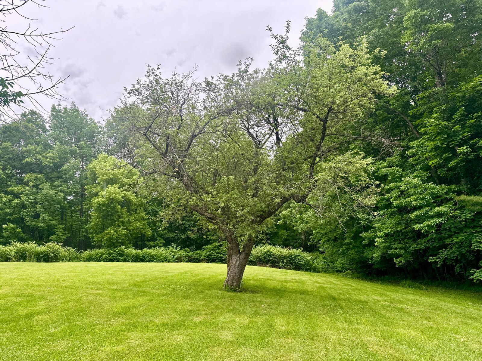 Property Photo: Lot 20-A Pine Street ME 04426