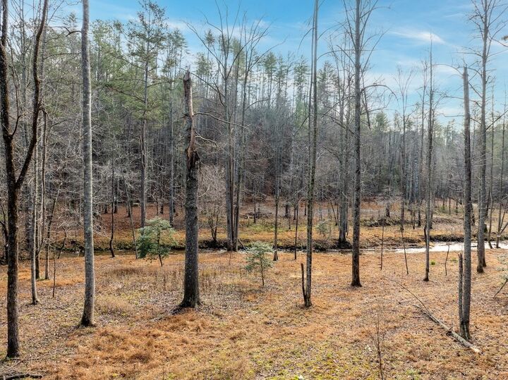 Property Photo:  780 Banks Road  GA 30540 