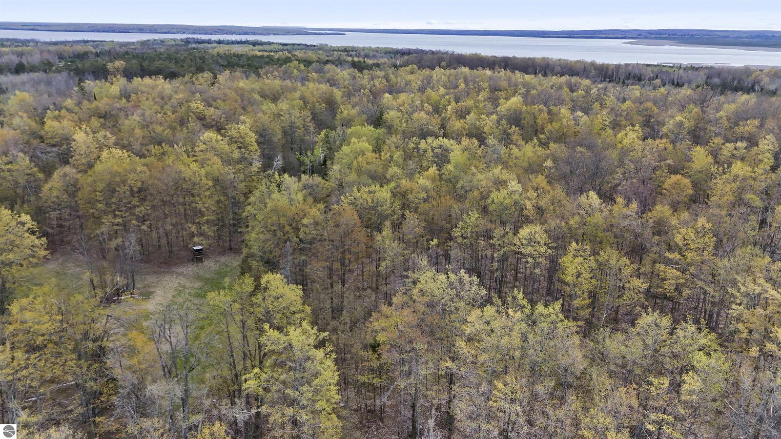 Property Photo: V/L Farrier Road MI 49746