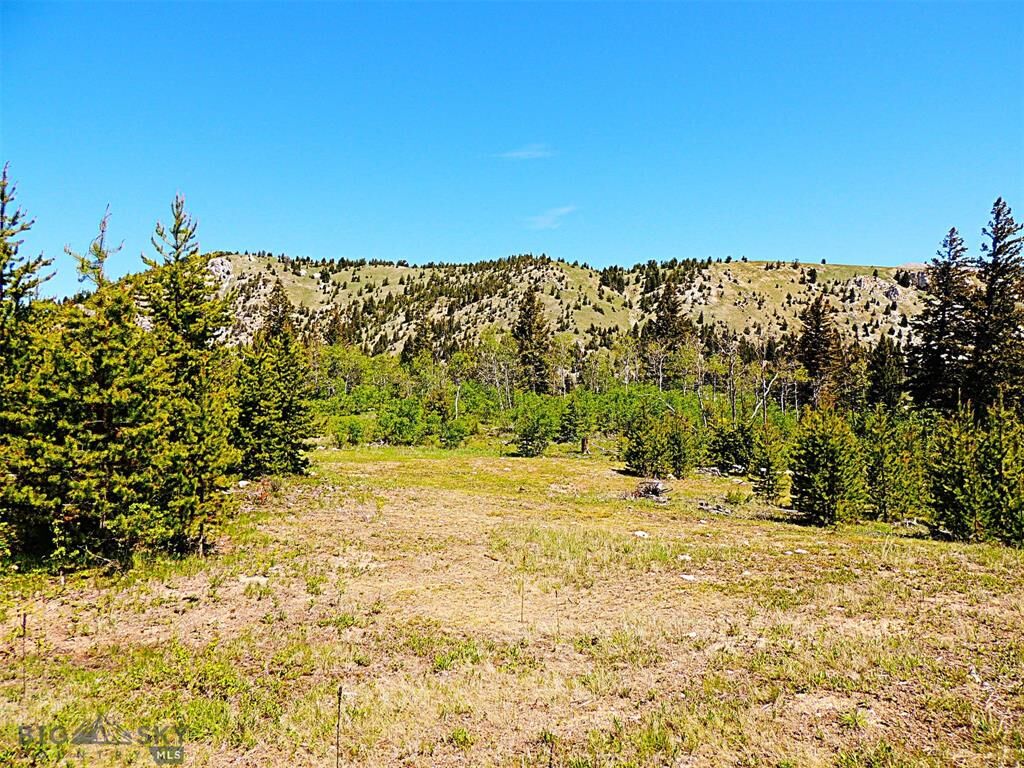 Property Photo:  261 Kanduch Road  MT 59711 