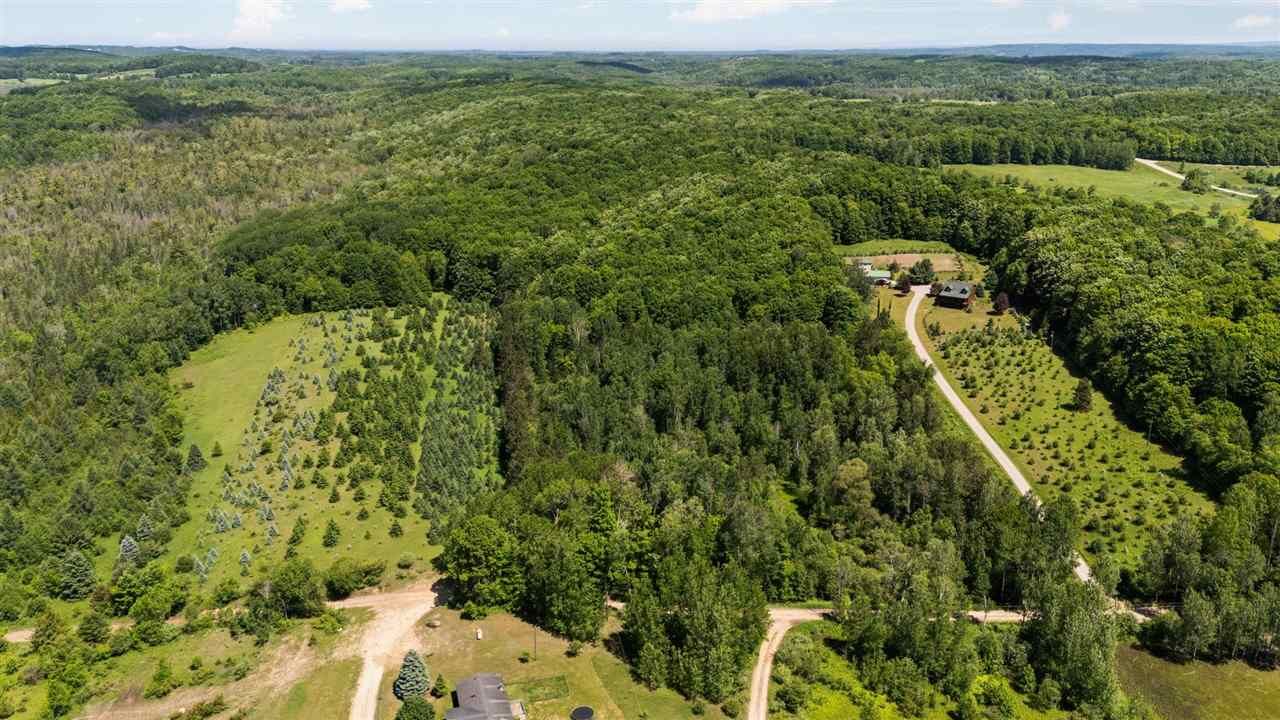Property Photo: Tbd Detour MI 49729
