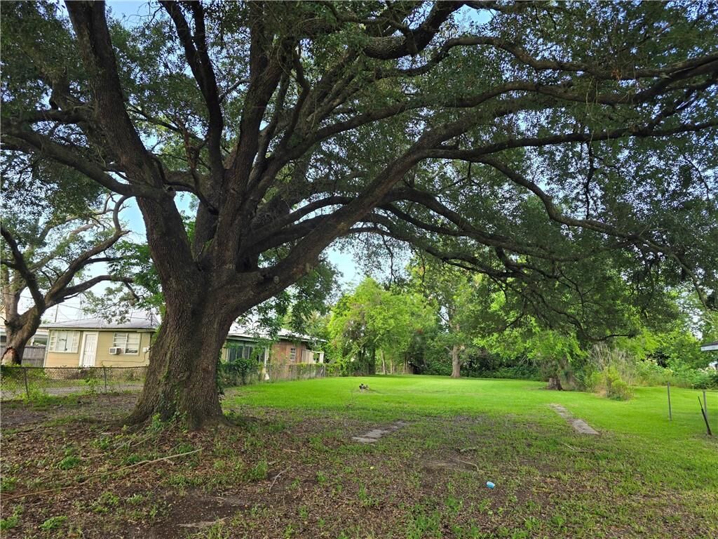 Property Photo: 430 Camphor Street LA 70068