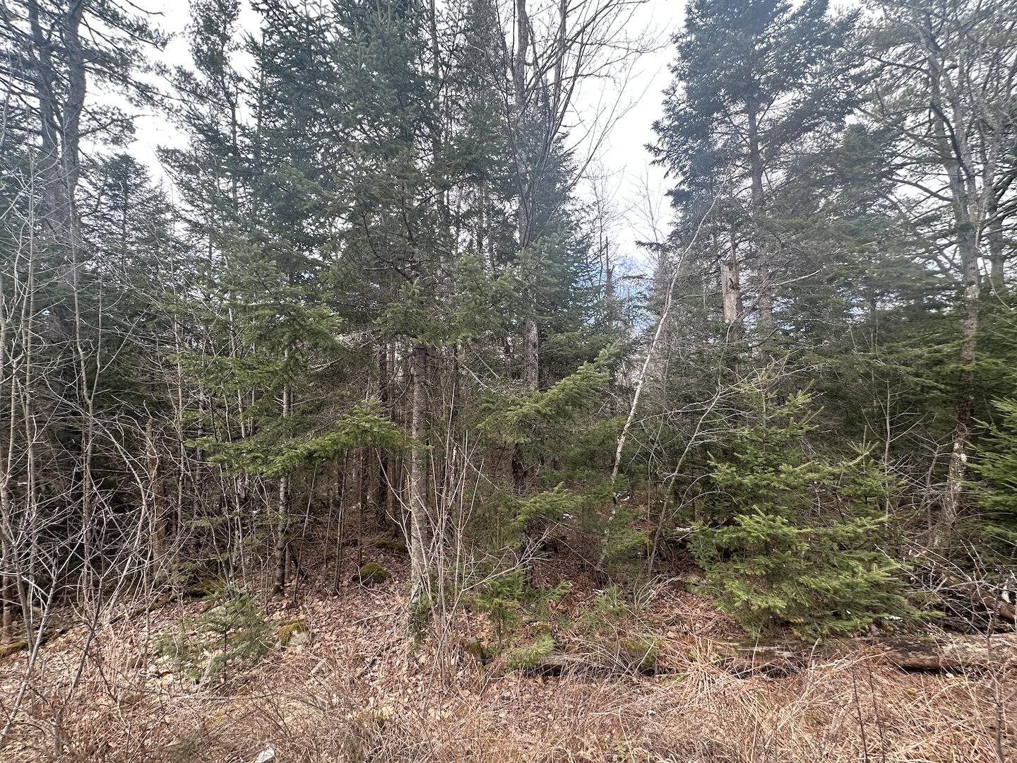 Property Photo:  0 North Littleton Road  NH 03561 