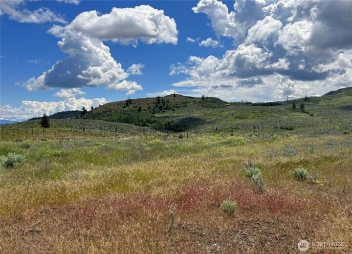 Property Photo:  0 Tbd  Ellemeham Mountain Road  WA 98844 