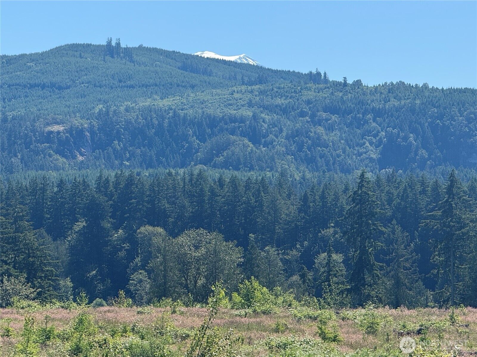 Property Photo: 0 114th Avenue Ct E WA 98328