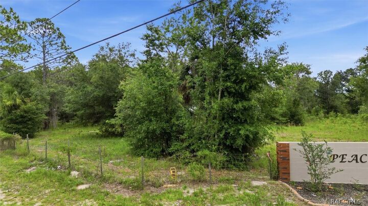 Property Photo: 0000 Hwy 40 East FL 34431
