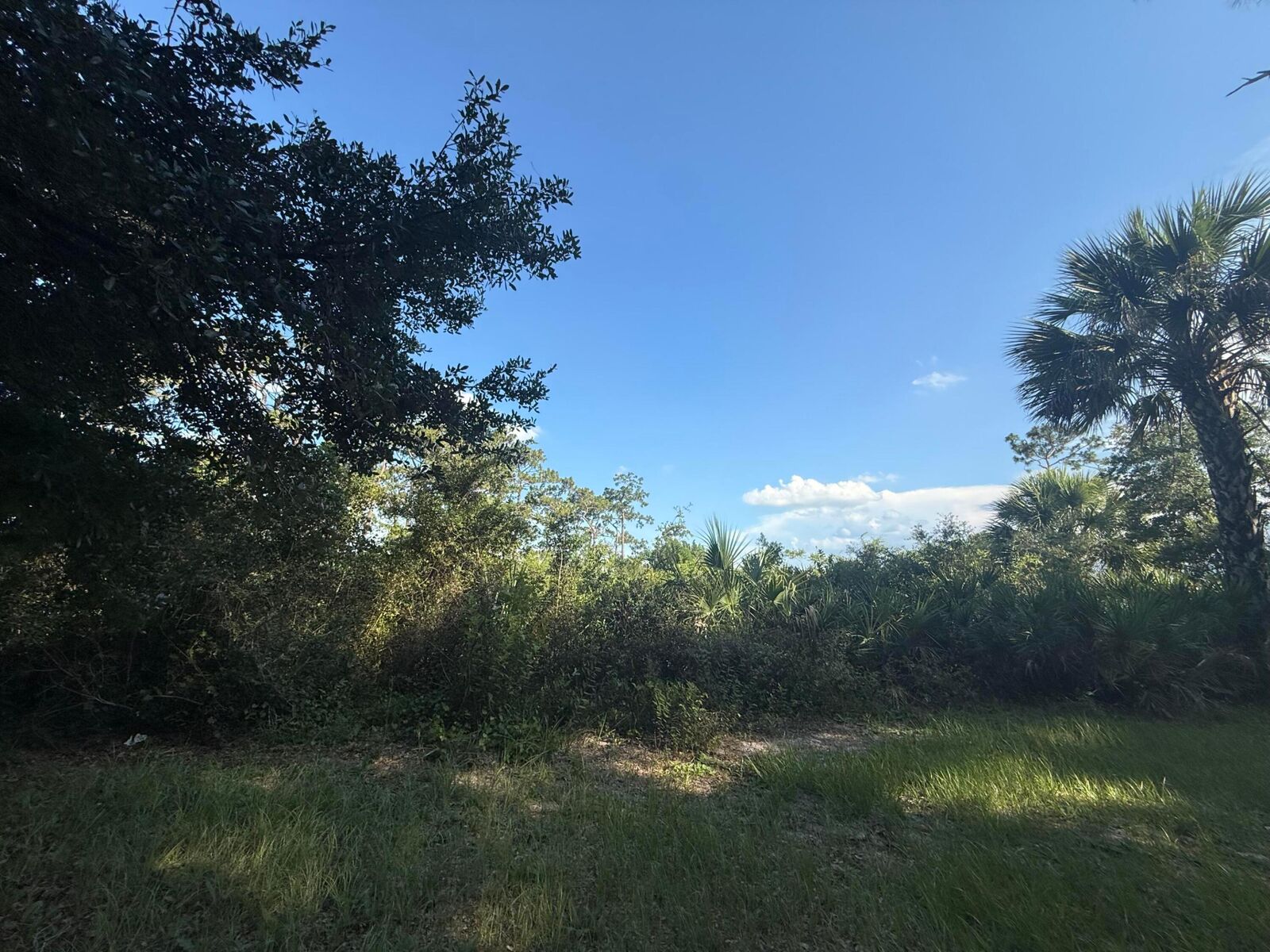 Property Photo: 3349 NE 301st Boulevard FL 34972