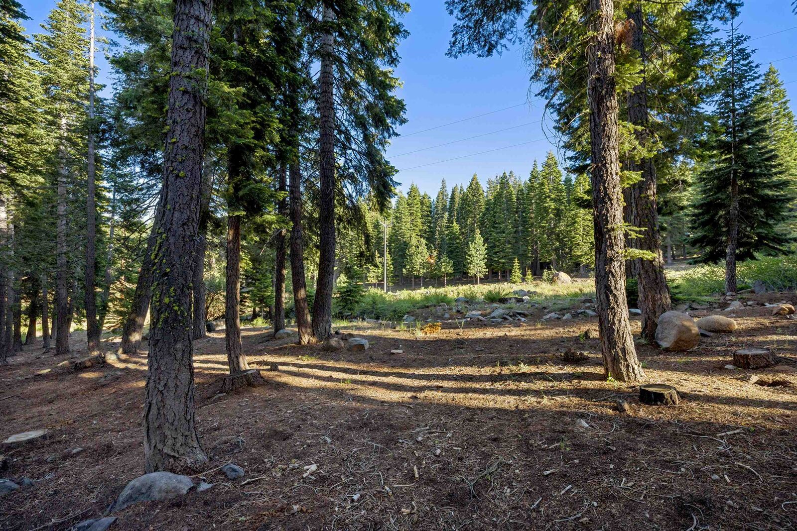 Property Photo:  13531 Weisshorn Avenue  CA 96161-6623 
