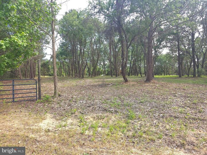 Property Photo: Lot 1 Red Hill Lane MD 21840