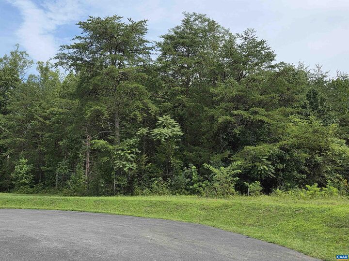 Property Photo:  Lot 12 Bartholomew Pl  VA 22973 