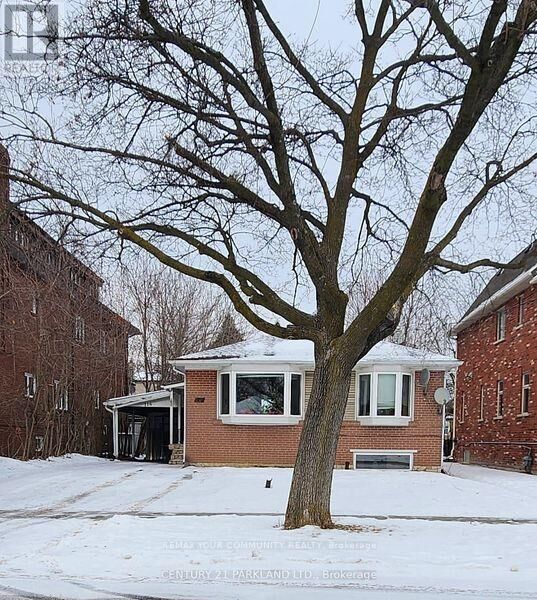 Property Photo:  114 Goulding Avenue Bsmt #1  ON M2M 1L4 