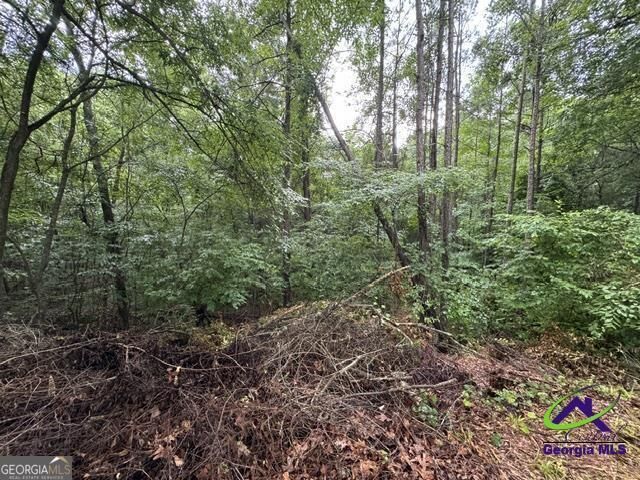 Property Photo:  172 Waters Pointe  GA 31052 