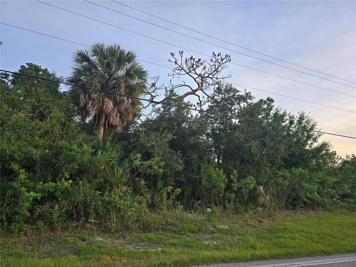 Property Photo:  6721 Riverside Drive  FL 33982 