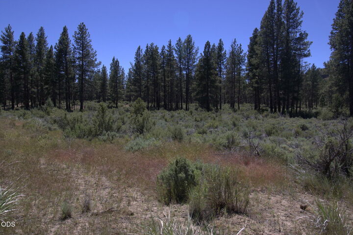Property Photo: Pow Wow Lane Lot 15 OR 97639