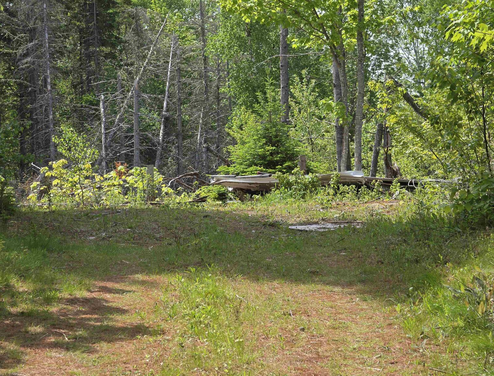 Property Photo:  129 Hope Valley Drive  PE C0A 1N0 