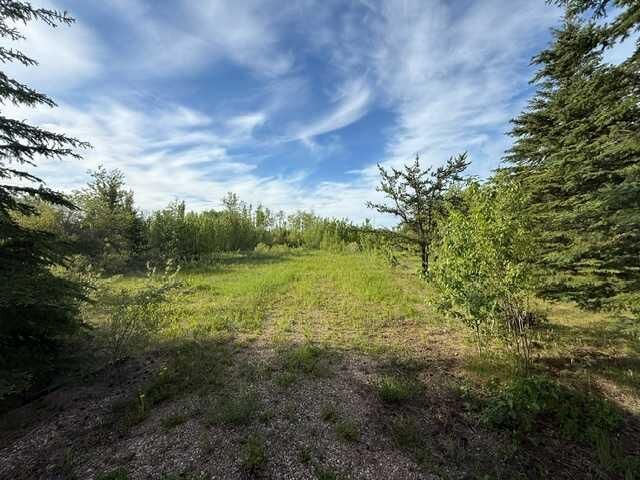 Property Photo: 120 Park Drive AB T0P 1J0