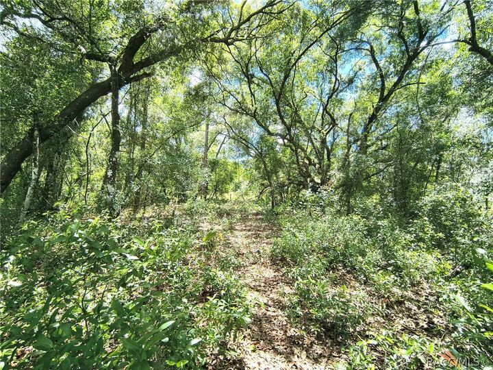 Property Photo:  2774 S Suellen Terrace  FL 34450 