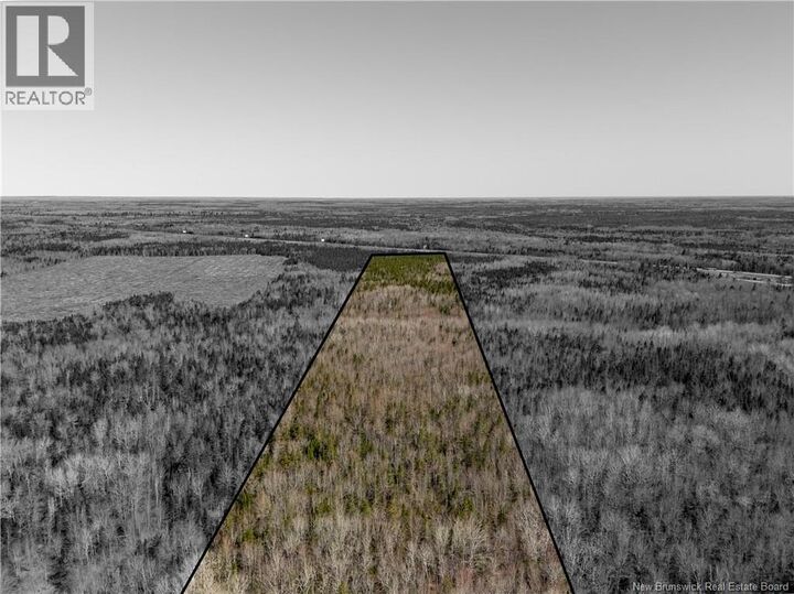 Property Photo:  Lot Route 132  NB E1H 1Z7 