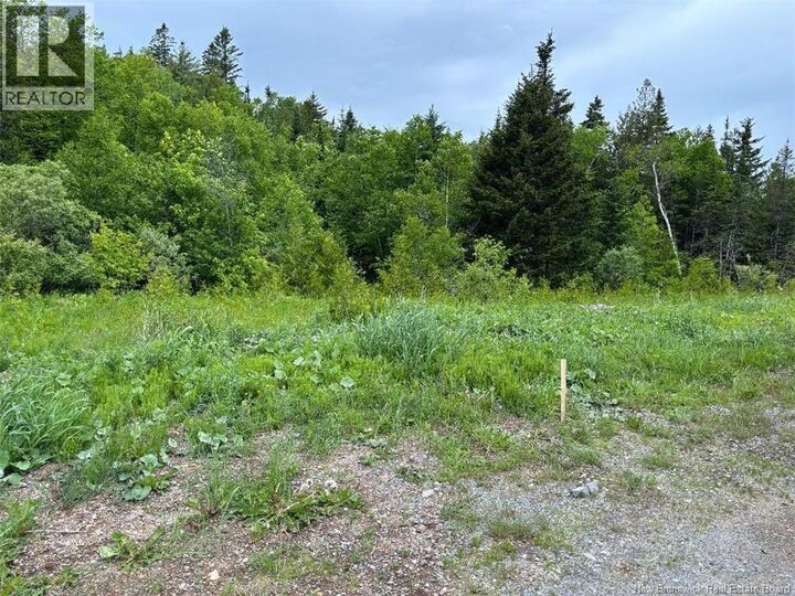 Property Photo:  00 Drury Cove Road  NB E2H 0B2 
