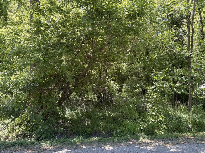 Property Photo: Lt3759 Vine Rd WI 53147