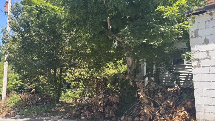 Property Photo:  2089 Leota St  TN 37172 