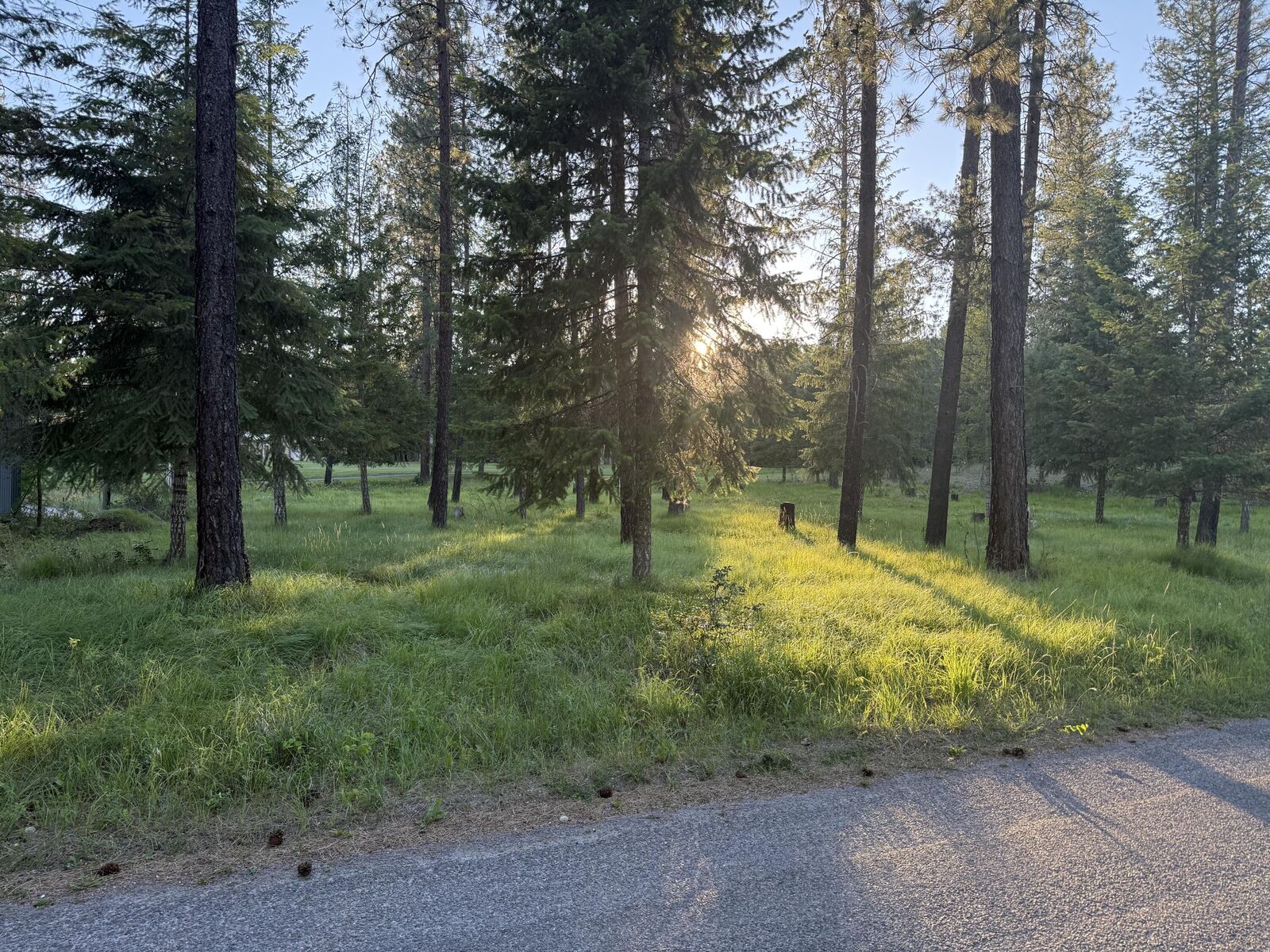 Property Photo: 197 E Trappers Loop WA 99109