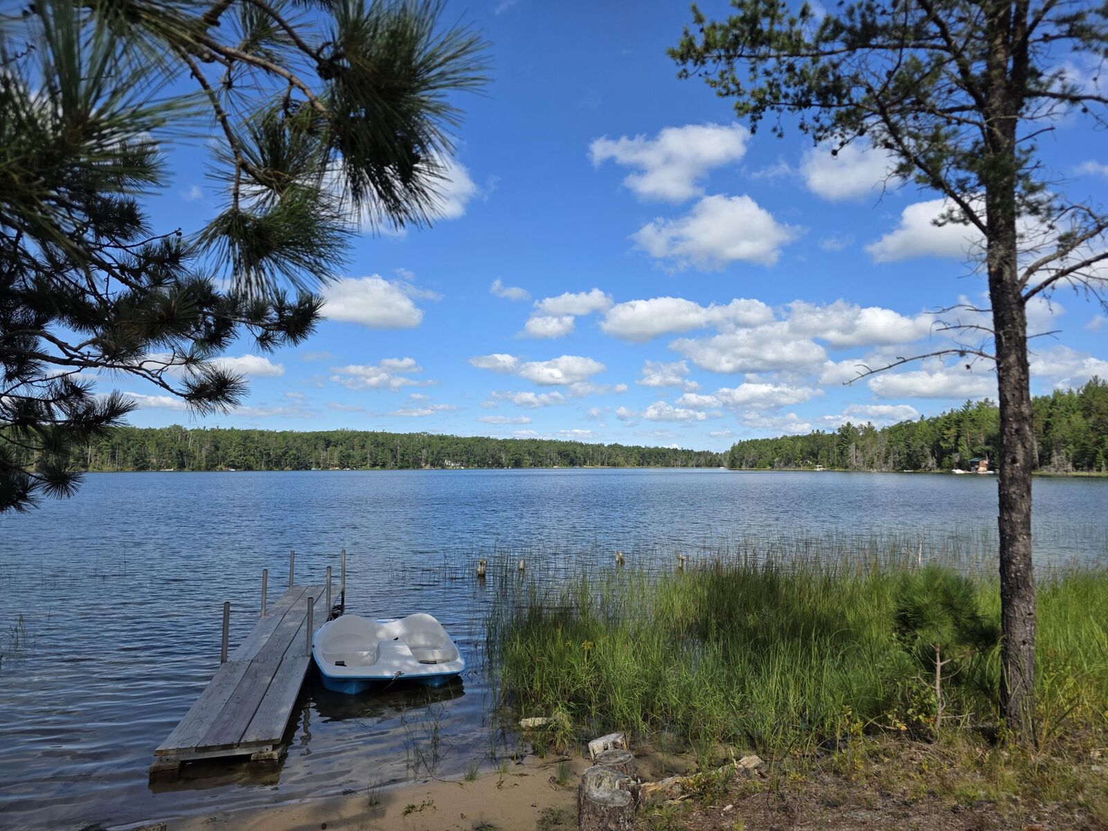Property Photo: 7584 Melvindale Camp Road MI 49751