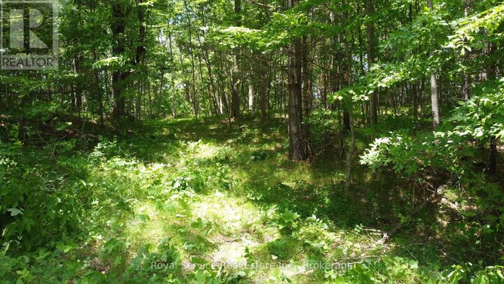 Property Photo:  1794 Springbrook Road  ON K0K 3C0 