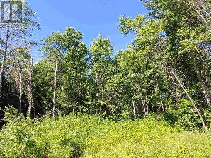 Property Photo: Lot 13 Birch Lane PE C0A 1L0