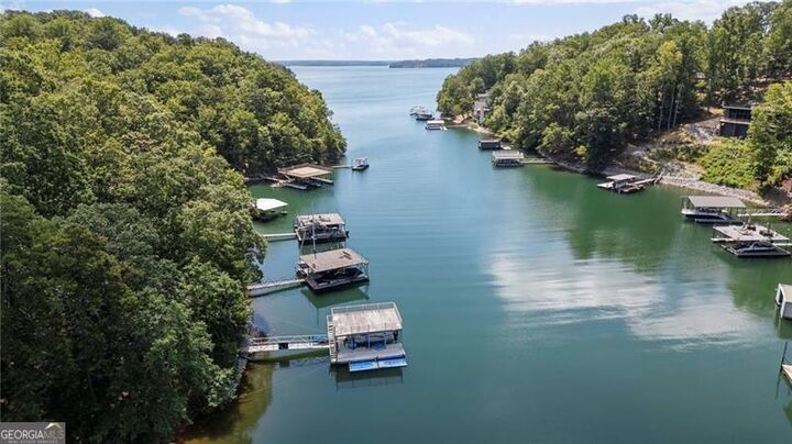 Property Photo: 0 Chinquapin Lane GA 30041