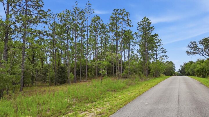 Property Photo: 0000 SW Sands Point Ave Lot 38 FL 34431
