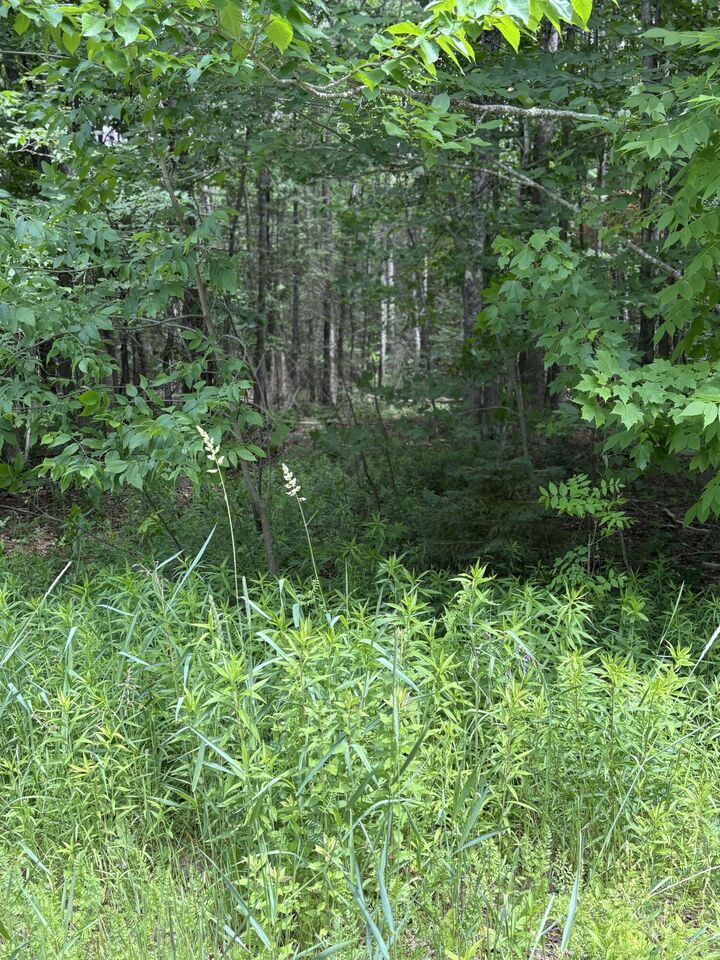 Property Photo: # Ledge Hill Road ME 04427