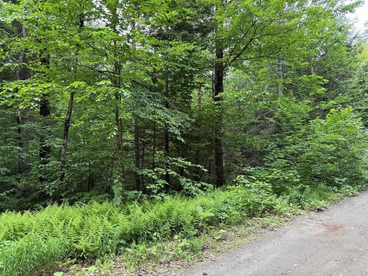 Property Photo: 219 Woodbury Mountain Road VT 05648