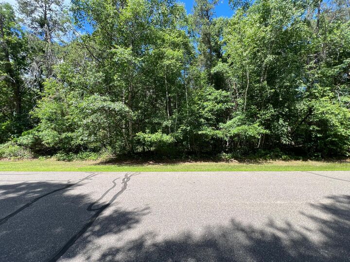Property Photo:  Lot 2 Birch Lane  MN 56401 