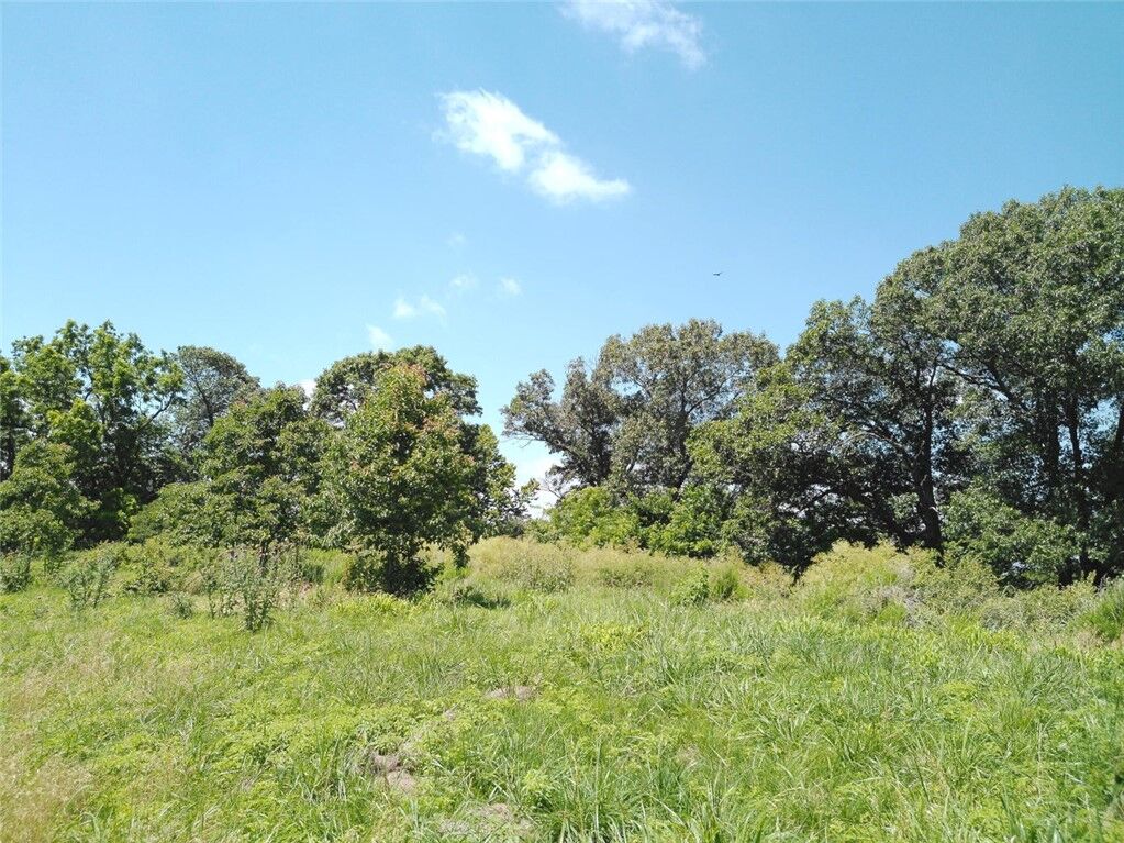 Property Photo:  1029 Bear Hollow Road  MO 64856 
