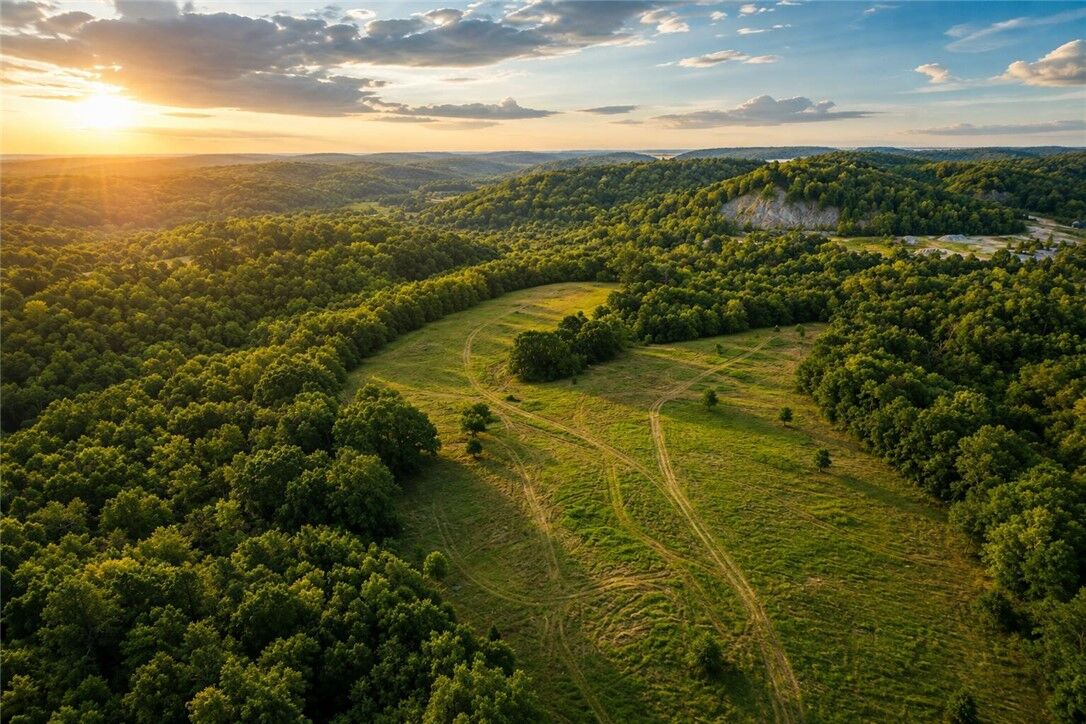 Property Photo:  1029 Bear Hollow Road  MO 64856 