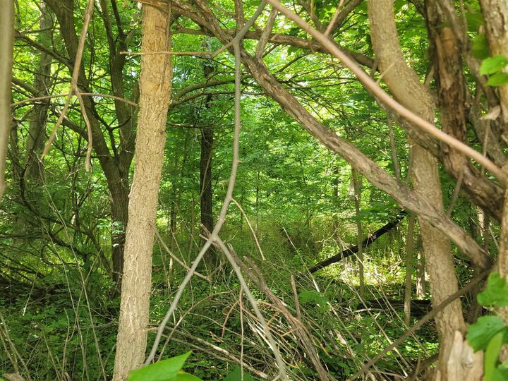 Property Photo: Schuster Drive WI 53511