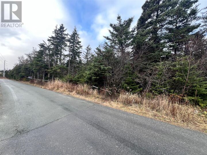 Property Photo:  2 - 12 Cathill Road  NL A0A 1G0 
