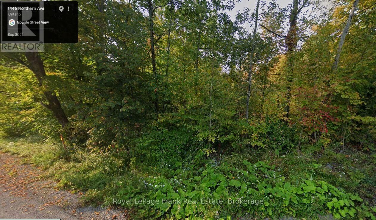 Property Photo:  0 Northern Avenue  ON K0M 1A0 