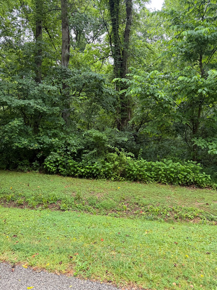 Property Photo:  00000 Mockingbird Trail  KY 41129 