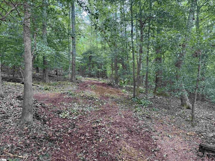 Property Photo:  0 Southwood Drive  SC 29605 