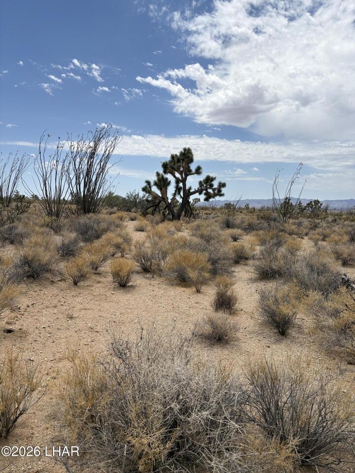 Property Photo:  00 Organ Pipe Pl  AZ 86438 
