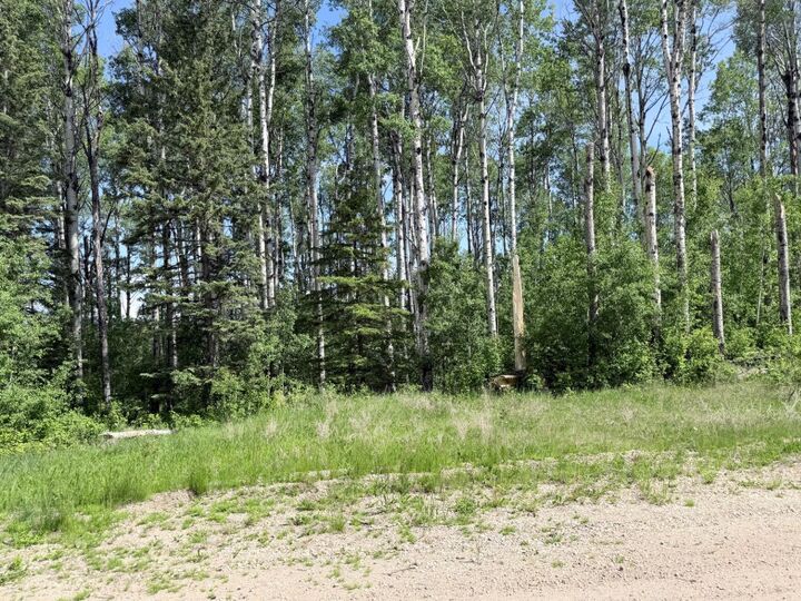 Property Photo: Block 1 Lot 7 Elk Ridge Estates AB T7S 1N9