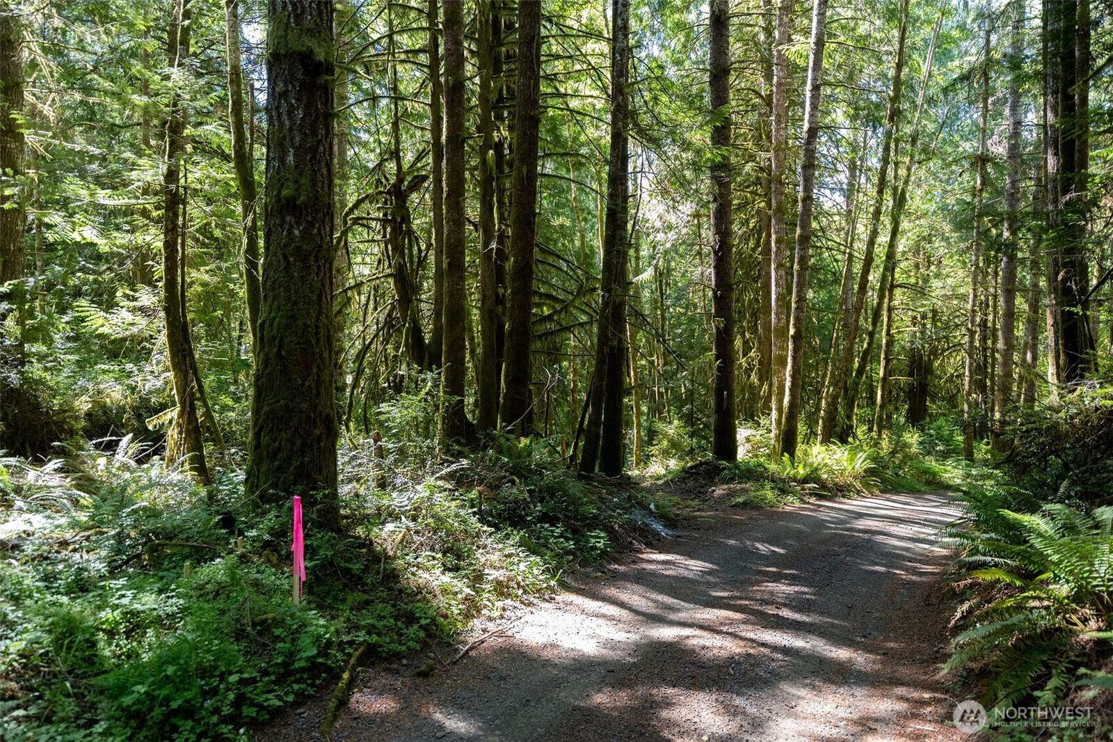 Property Photo: 1781 E Sunset Hill Road WA 98584