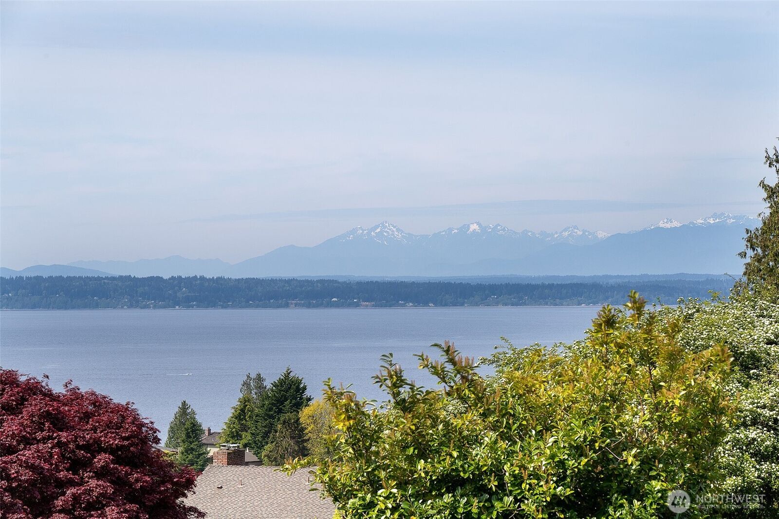 Property Photo:  13015  8th Avenue NW  WA 98177 